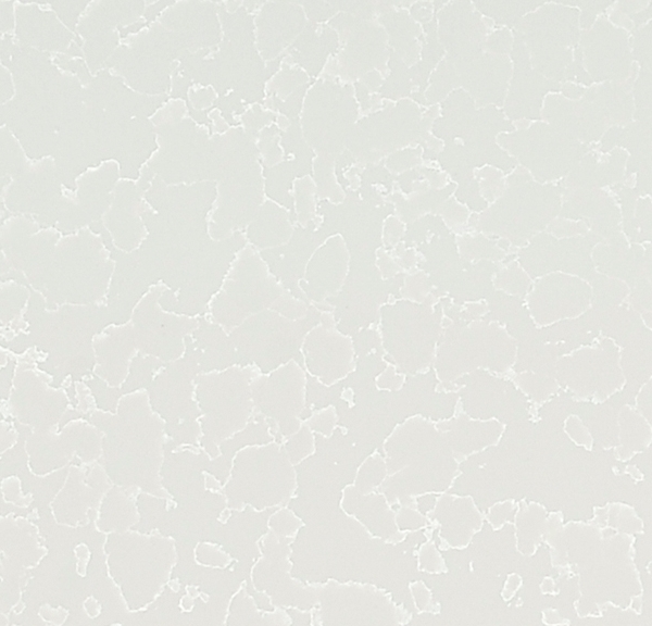 BS3101